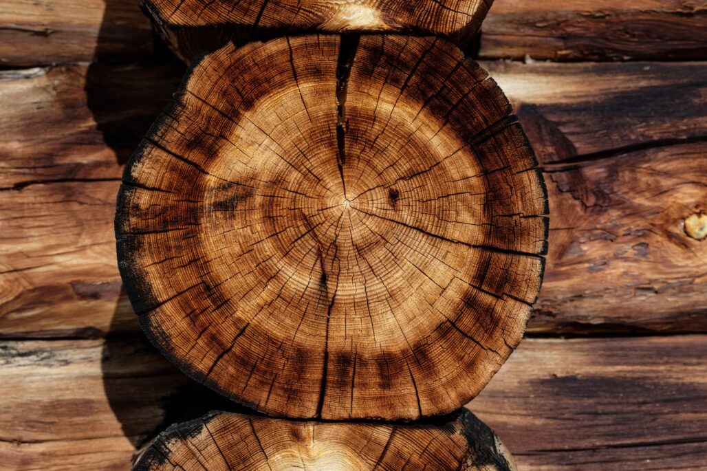 Ograniczanie pękania podczas DOMOWEGO suszenia drewna.